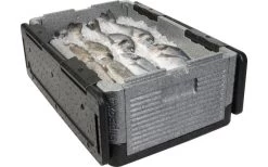 Overath Flip Box BIG Faltbare Isolierbox 39 Liter -Camping BBQ 120016 2250319