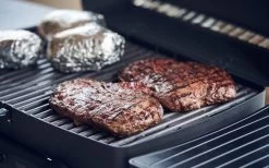 Enders Urban Pro Gasgrill 30 Mbar 12 Enders Urban Pro Gasgrill 30 Mbar -Camping BBQ 269627 2257679