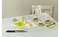 Rotho Loft Zitruspresse 0,4 Liter Limettengrün -Camping BBQ 459894 3184329