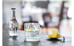 Berger Tumbler Trinkglas 2er Set