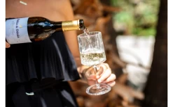 Berger Weinglas 2er Set -Camping BBQ 594239 4331207