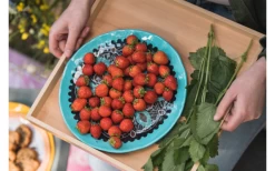 Rebel Outdoor Dessertteller 22 Cm Schwarz