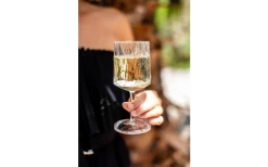 Berger Weinglas 2er Set -Camping BBQ 690069 4697631